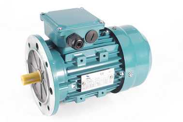 MS IE1 High Quality Aluminium Construction 3 Phase Induction Motor with NSK Bearing