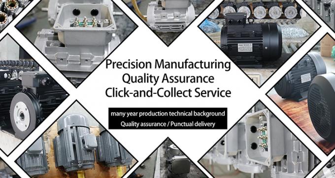 বাণিজ্যিক ক্লিন মেশিনের জন্য এআর ইন্টারপাম্প সহ 7KW হোল শ্যাফ্ট মোটর 11