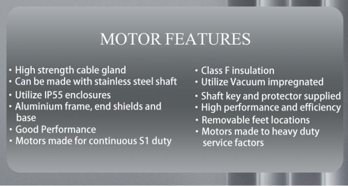 উচ্চ দক্ষতা 2800rpm ইলেকট্রিক মোটর অ্যালুমিনিয়াম হাউজিং জন্য সুইমিং পুল পাম্প 4