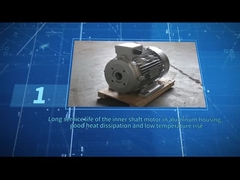 ZOZHI HS100L3-4 5.5HP/4KW ফাঁপা শ্যাফ্ট মোটর কালো রঙ