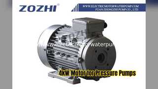 উচ্চ চাপ পাম্প জন্য 4kW ফাঁপা খাদ মোটর