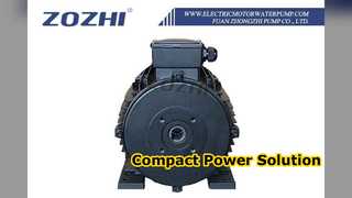 5.5kW প্রেসার ওয়াশারের জন্য হোলো শ্যাফট মোটর
