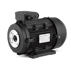 Hollow Shaft 160M1-4 11KW 15HP 380V 400V 2940RPM Brushless AC Three Phase Induction Electric Motor