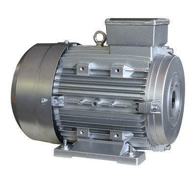 Two Bearings Hollow Shaft Electric Motor Rated Power 4KW Ideal Solution for Industrial Automation Applications