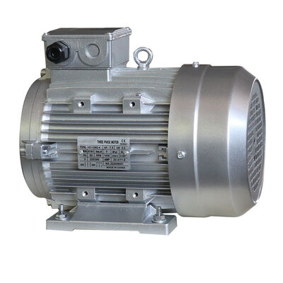 380V/440V Three-Phase Hollow Shaft Motor with IE3 High Efficiency and Waterproof Design for Pressure Washer Applications