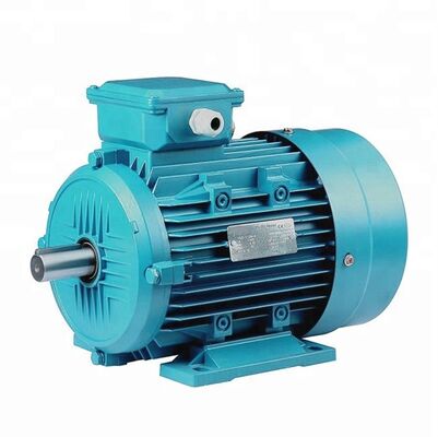 500 GPH Flow Rate 3 Phase Induction Motor Incorporating Totally Enclosed Protection Ball Bearings Industrial Performance