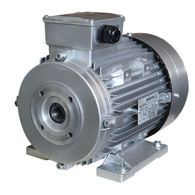 42 Mm Diameter Hollow Shaft AC Motor Designed for Integration into Packaging and Material Handling Systems