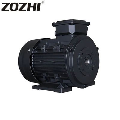 High Efficiency High Speed Three-Phase Hollow Shaft Motor 5.5KW 2P IP55 Waterproof 380V/440V AC for Pump