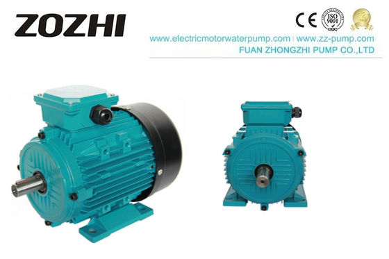 MS Series 0.75KW Aluminum Shell Three Phase Induction Motor with IP54 Protection