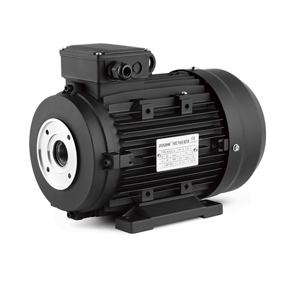 IE2 Efficiency 7.5hp/5.5kw Hollow Shaft Electric Motor for Industrial Spray System