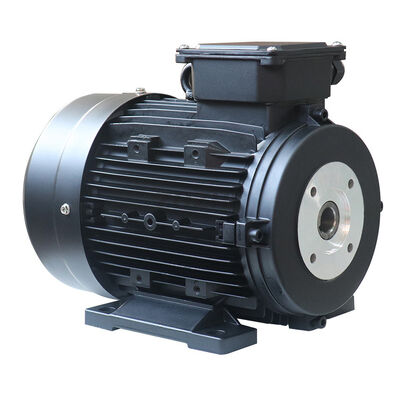 24mm Shaft Hollow Shaft Motor AC Motor 1400rpm Rated Speed Motor for Industrial Automation and Robotics Applications